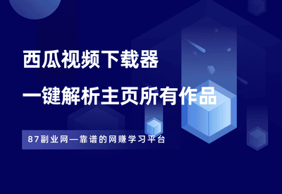 西瓜视频下载器，一键解析主页所有作品，建议收藏！ - 87副业网-87副业网